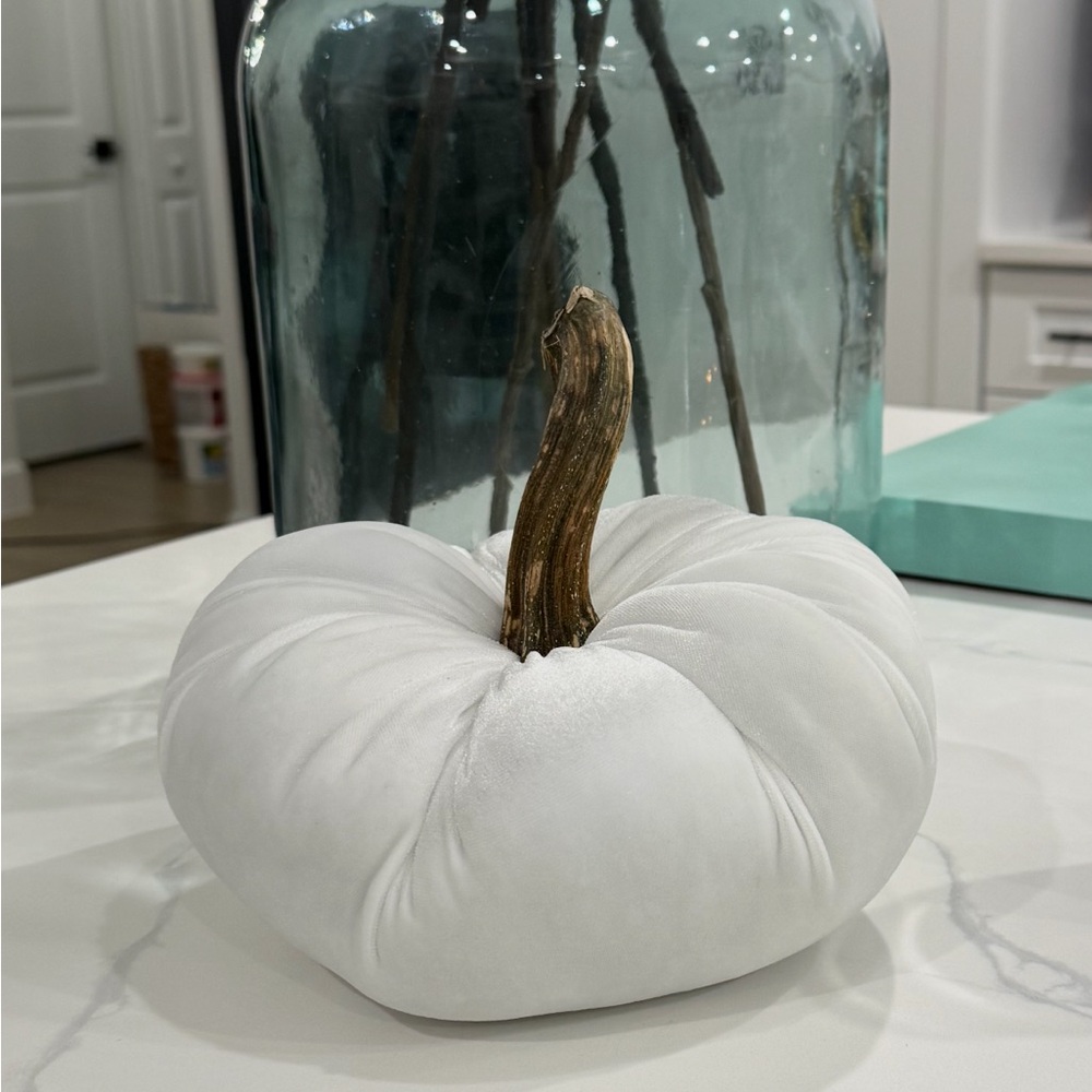 White Velvet Pumpkin Decor
